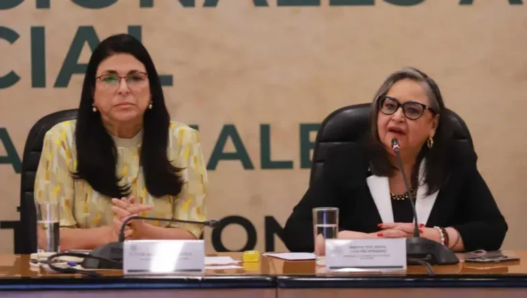 Norma Piña alerta que la reforma judicial puede traer problemas mayores a la democracia