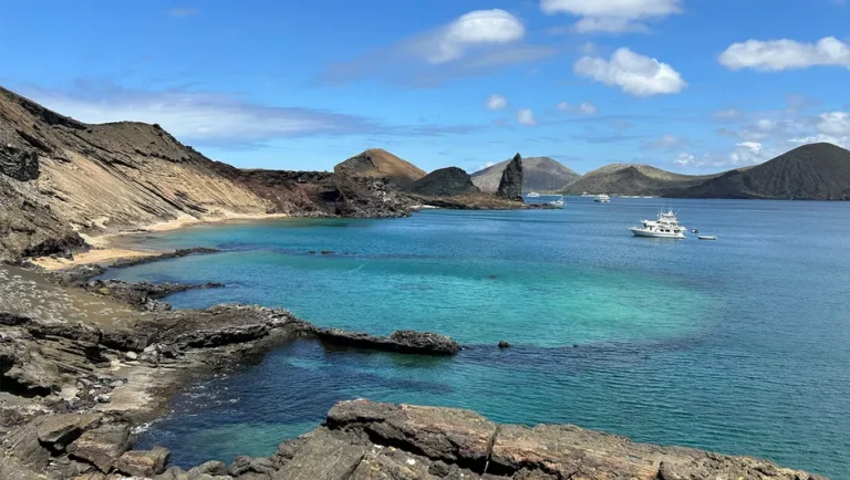 Galápagos: tortugas gigantes, tiburones bebé y pingüinos