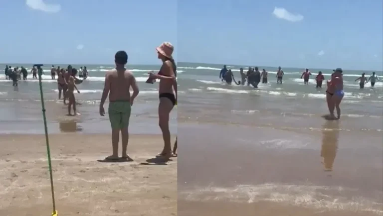 Suman cuatro las personas atacadas por tiburón en la Isla del Padre