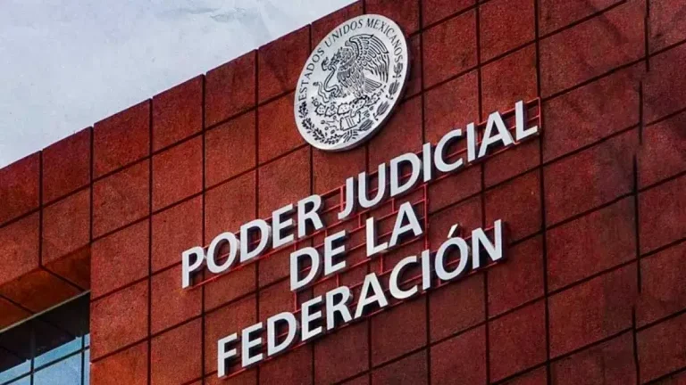 Abogados alegan ante TEPJF exclusión de elección judicial