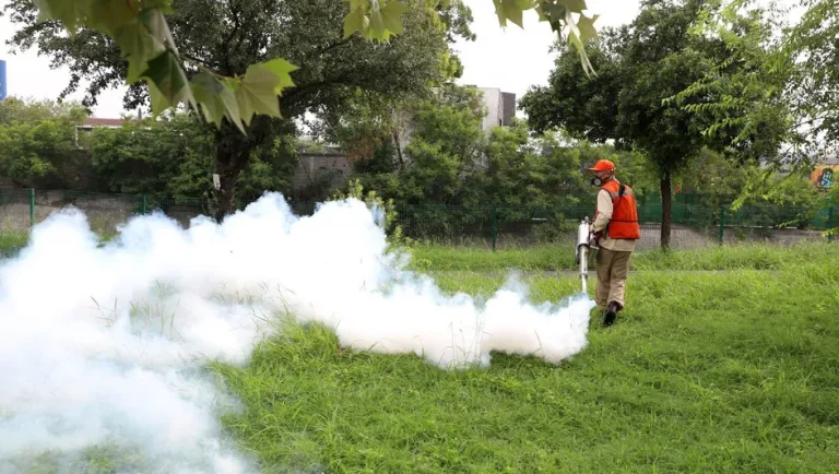 Notifican 66 defunciones por probable dengue y confirman 4 en Nuevo León