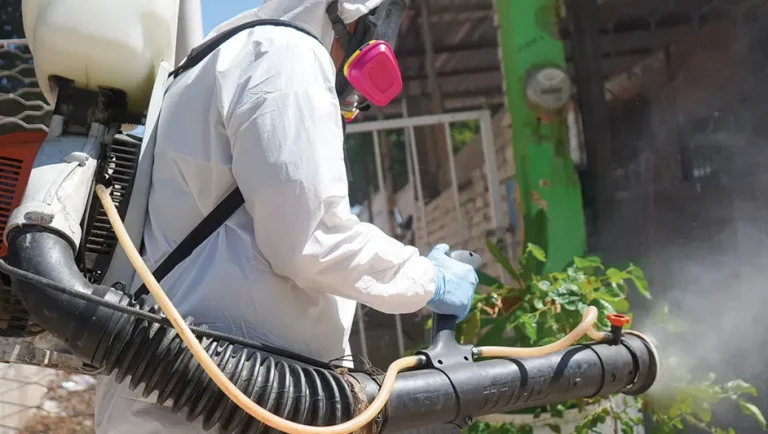 Nuevo León supera los 9 mil casos de dengue en el año, reportan