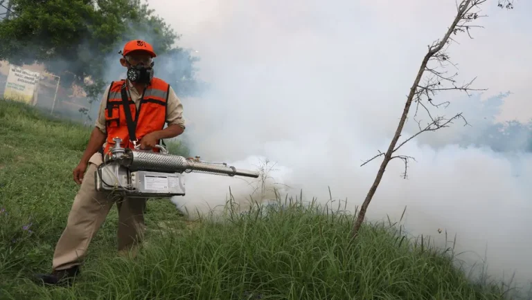 Nuevo León acumula 75 defunciones en estudio por probable dengue en 2024