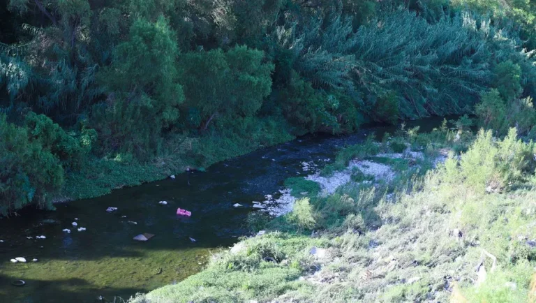 Se dejará caer el peso de la ley a empresas que tiren residuos en río Santa Catarina; Gpe, NL