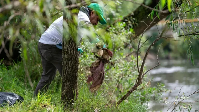 Heineken y Conagua realizan jornada de limpieza en río Atoyac