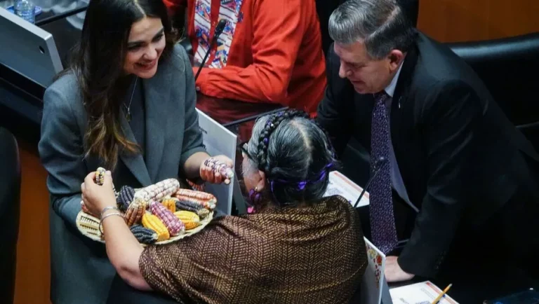 Senado avala reforma constitucional para prohibir el cultivo de maíz transgénico