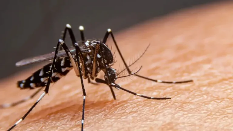 NL registra aumento de 4 defunciones en estudio por probable dengue