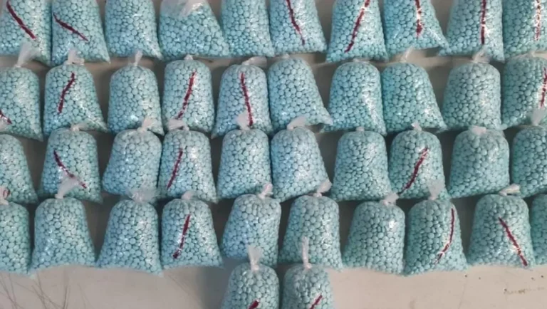 Llegada de Sheinbaum a la presidencia reduce tráfico de fentanilo a EU