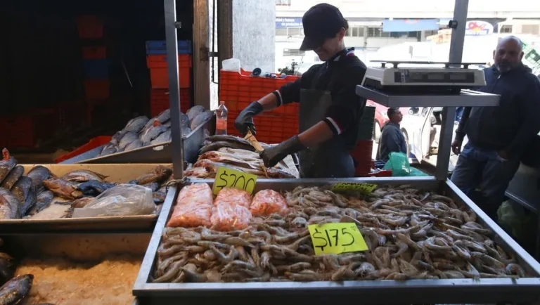 Venta de camarón subirá 20% en Cuaresma