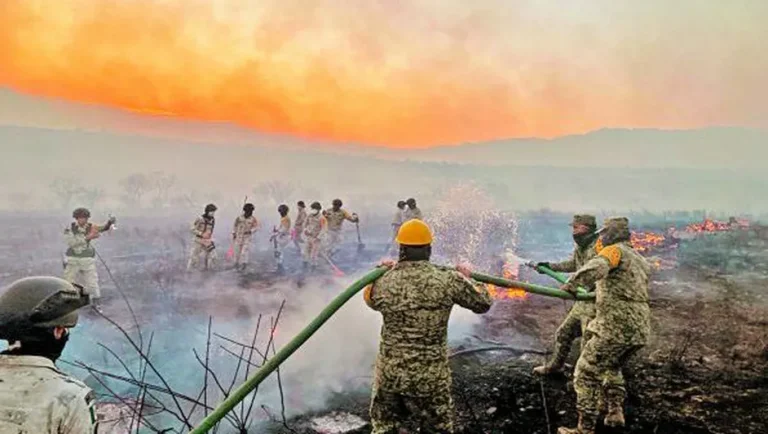 Brigadistas controlan incendios forestales en Morelos, Oaxaca y Chihuahua