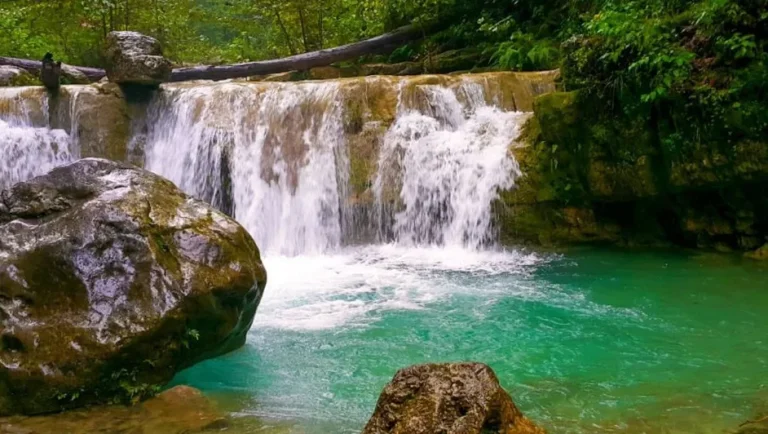 Parque Ecológico La Estanzuela: El lugar perfecto para estas vacaciones