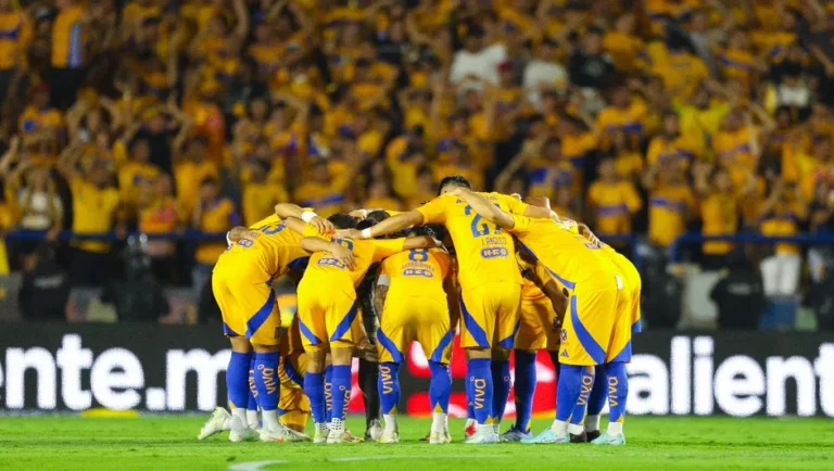 Tigres encuesta a abonados para el diseño de su nuevo estadio