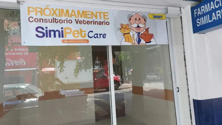 Farmacias Similares inicia prueba piloto de consultorio veterinario