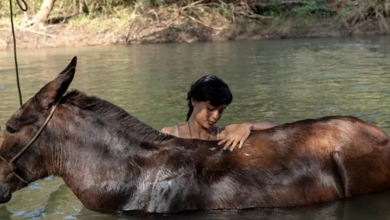 Cineteca Nuevo León proyectará «La Arriera»