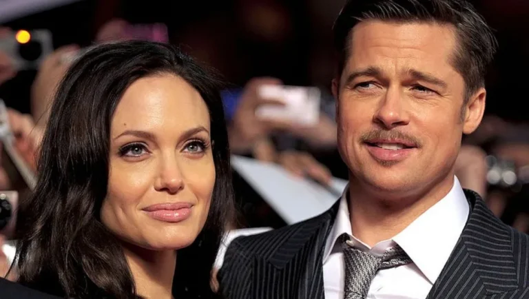Brad Pitt demanda a Angelina Jolie por la venta de su viñedo en Francia