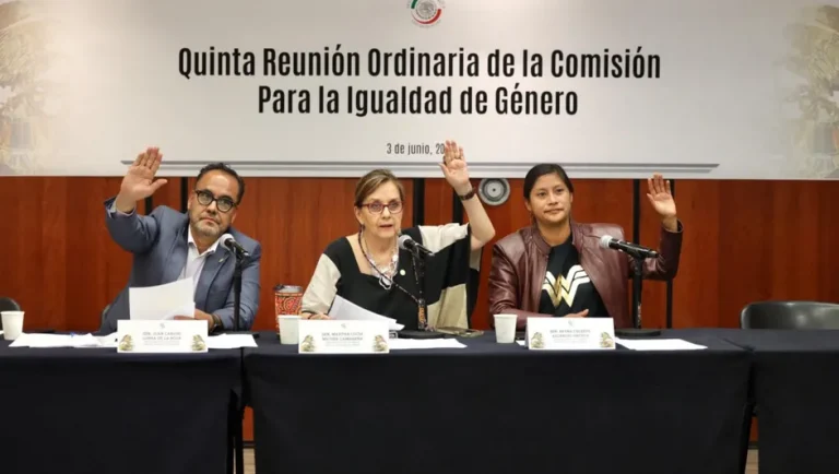 Comisión del Senado aprueba subcomisiones para dar seguimiento a compromisos sobre derechos de las mujeres