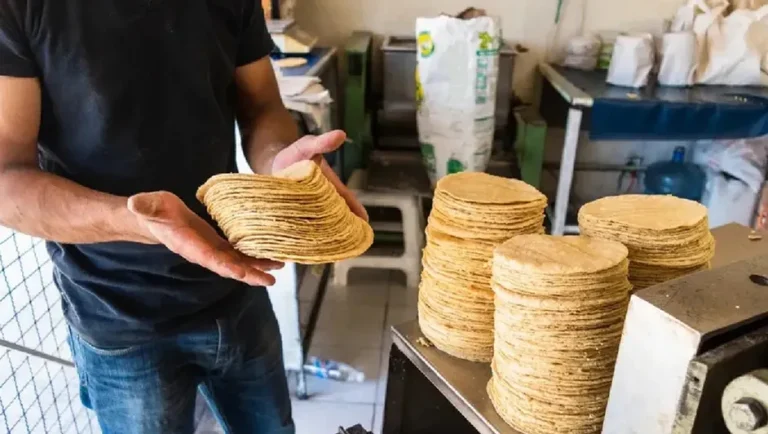 Costo máximo del kilo de tortilla en México debe ser de 28.87 pesos: Profeco