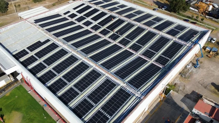 SE: México puede ser protagonista en la transición a modelos económicos más sostenibles