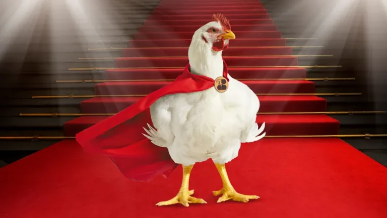 Grupo Bachoco anuncia extensión de operaciones a Baja California