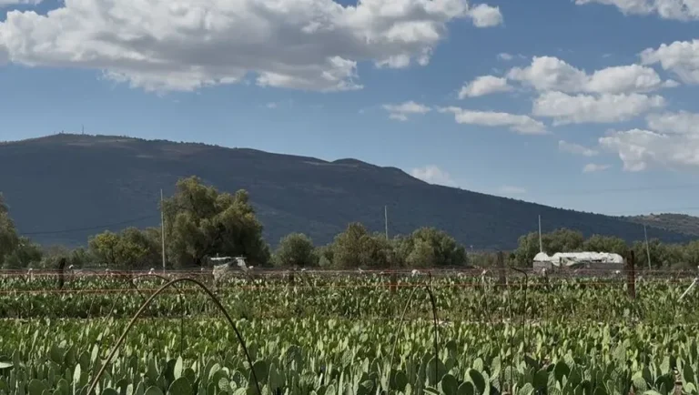 IPN y Agricultura colaboran para el desarrollo por el campo y la soberanía alimentaria