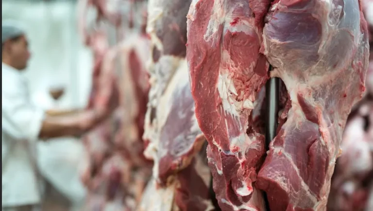 ¿Cómo impactarían los aranceles de México al cerdo y pollo de EU?