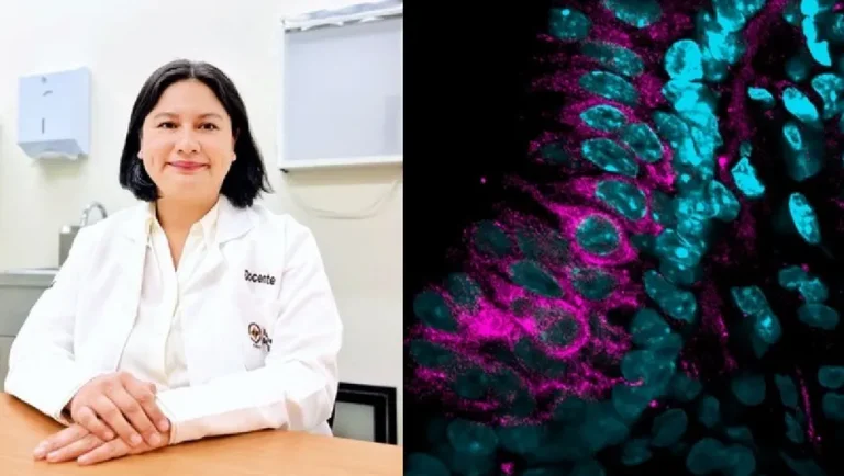 Blanca Cervantes, la única mexicana seleccionada en la Pinacoteca de la Ciencia 2025