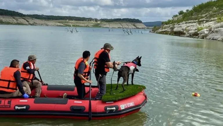 Binomios caninos de Michoacán ayudan a texanos tras inundaciones