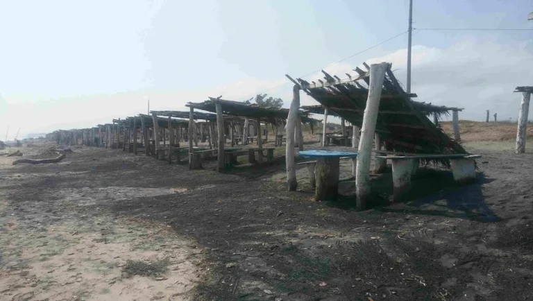 Cofepris alerta sobre playas no aptas para nadar por contaminación