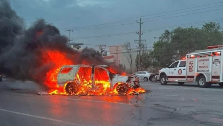 Violencia en Tamaulipas: cuatro funcionarios asesinados en 10 atentados desde 2023