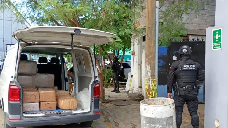 Aseguran 700 kilos de mariguana tras cateo en la colonia Fabriles en Monterrey