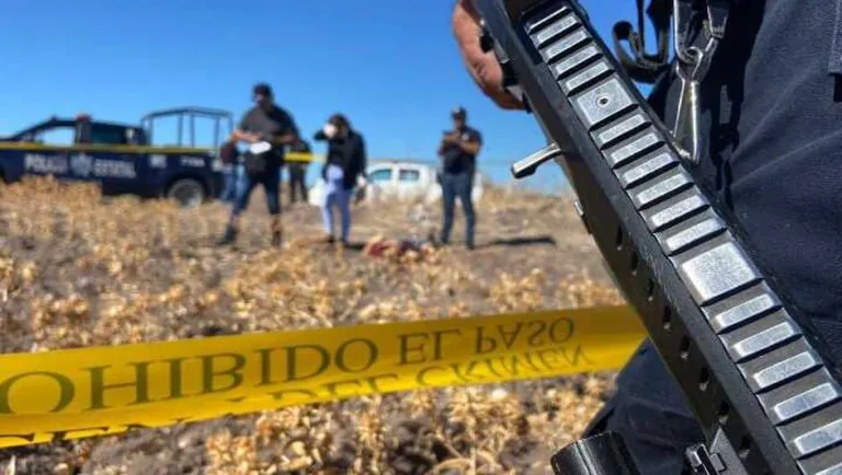 Cártel de Sinaloa, la organización criminal más afectada por las expulsiones de narcos a EU