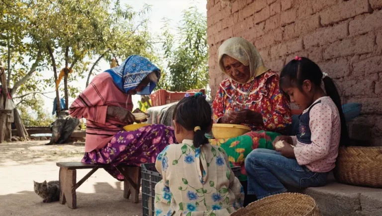 Proyectarán filmes nominados al Ariel 2025 en la Cineteca Nuevo León