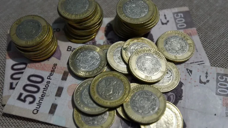 Afores superan a Cetes, pagarés y fintechs en rendimientos: XXI Banorte