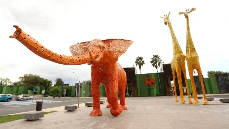 Investigan condiciones de osa negra en Zoológico La Pastora tras difusión de video