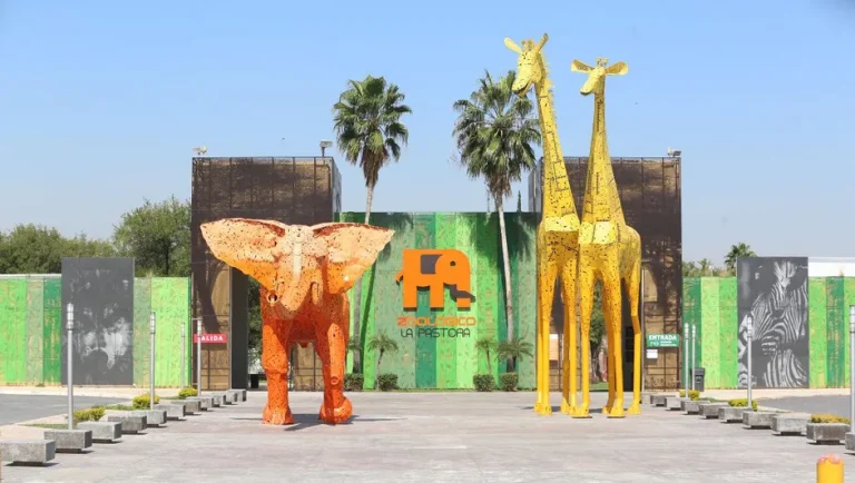 Confirman salud delicada de la osa Mina; destituyen a coordinador del zoológico La Pastora