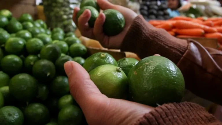 Violencia contra agricultores encarece alimentos un 20%, advierte Concamin