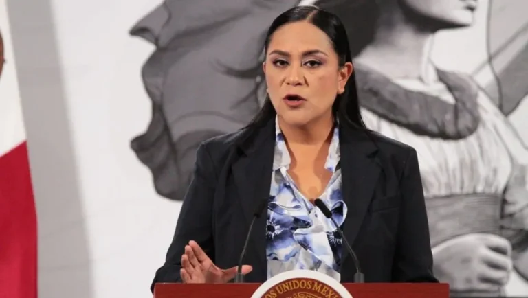 Bienestar entregará apoyo de 20 mil pesos a afectados por lluvias a partir del miércoles: Ariadna Montiel