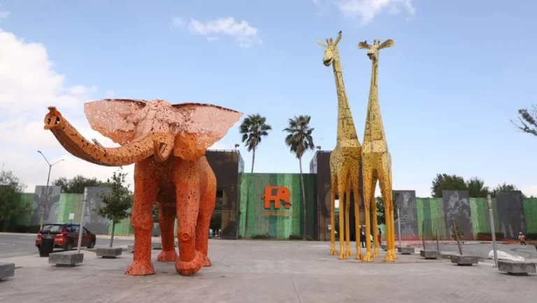 Profepa retira sellos de clausura al zoológico La Pastora en Guadalupe, NL