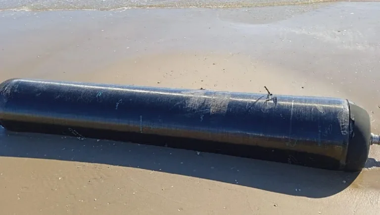 Reportan delfines muertos y presunta basura espacial en playa Bagdad, Tamaulipas