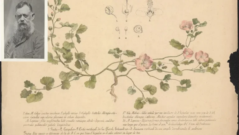 El Museo Kaluz presenta muestra inédita de José María Velasco