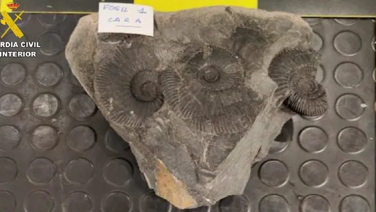 España incauta piezas arqueológicas de México y Ecuador en el aeropuerto de Bilbao