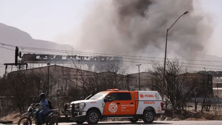 Delitos ambientales alcanzan 303 casos en Nuevo León en 11 meses