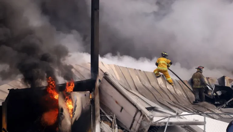 En 2025, Nuevo León suma 28 delitos del fuero federal contra el medio ambiente