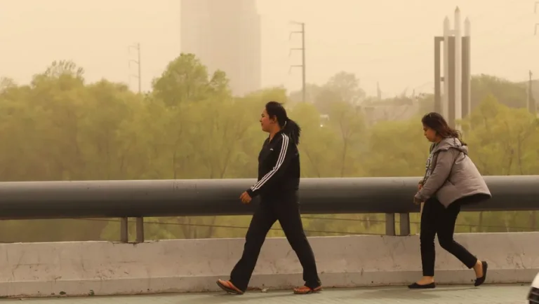 Medio Ambiente de NL busca reformar norma para disminuir partículas contaminantes