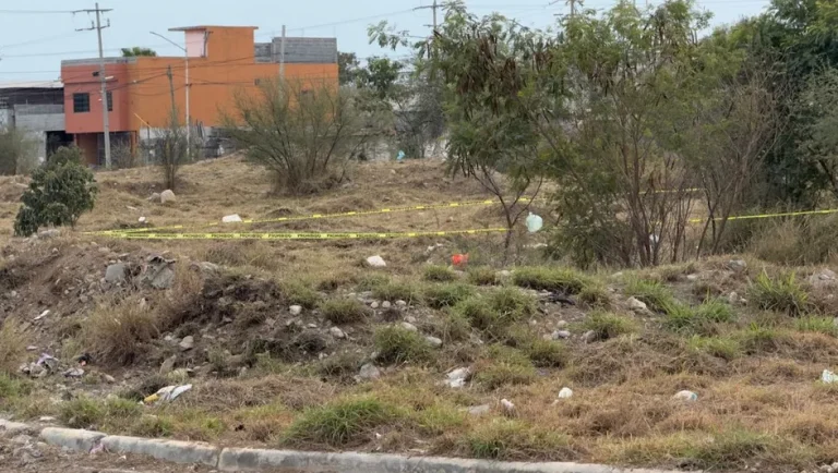 Cadhac llama a establecer estrategias efectivas de búsqueda de personas en NL