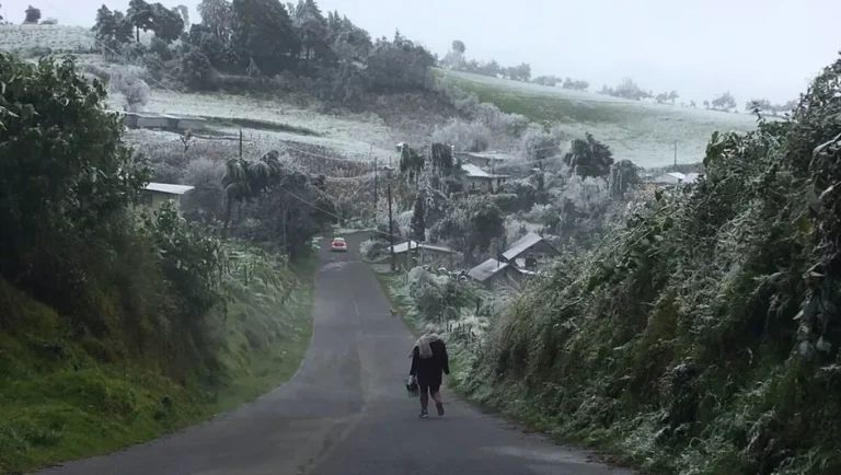Alerta por frío: prevén heladas y hasta -20 grados en estos estados