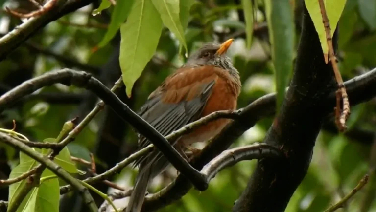 Nuevo León recibe Premio Fitur por proyecto de ecoturismo