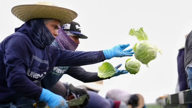 Activistas buscan devolución de impuestos a migrantes con el T-MEC