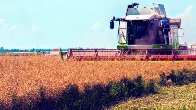 Canacintra y Sader impulsan desarrollo de clústeres agroindustriales
