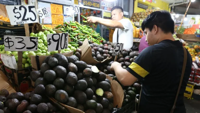 Prevén aumento del 15% en consumo de aguacate mexicano por Super Bowl